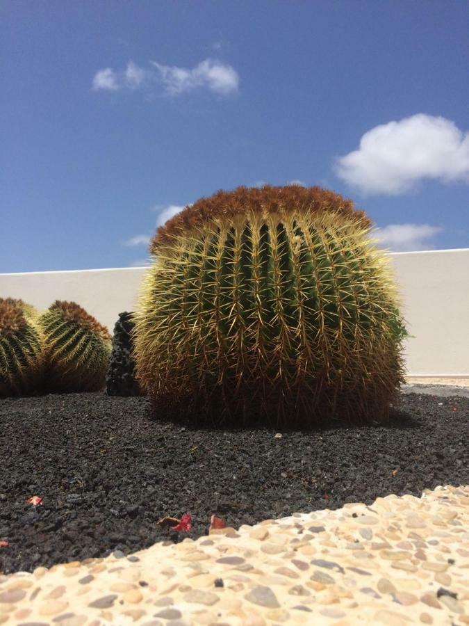 Los Panelos B1 卡门港 外观 照片